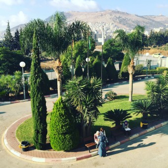 صور كلية هشام حجاوي 